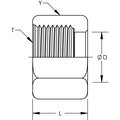 World Wide Fittings ORFS Tube Nut Stainless Steel FS0318X16SS